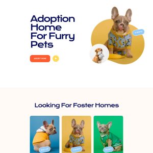 TigglyPuff Pet Adoption